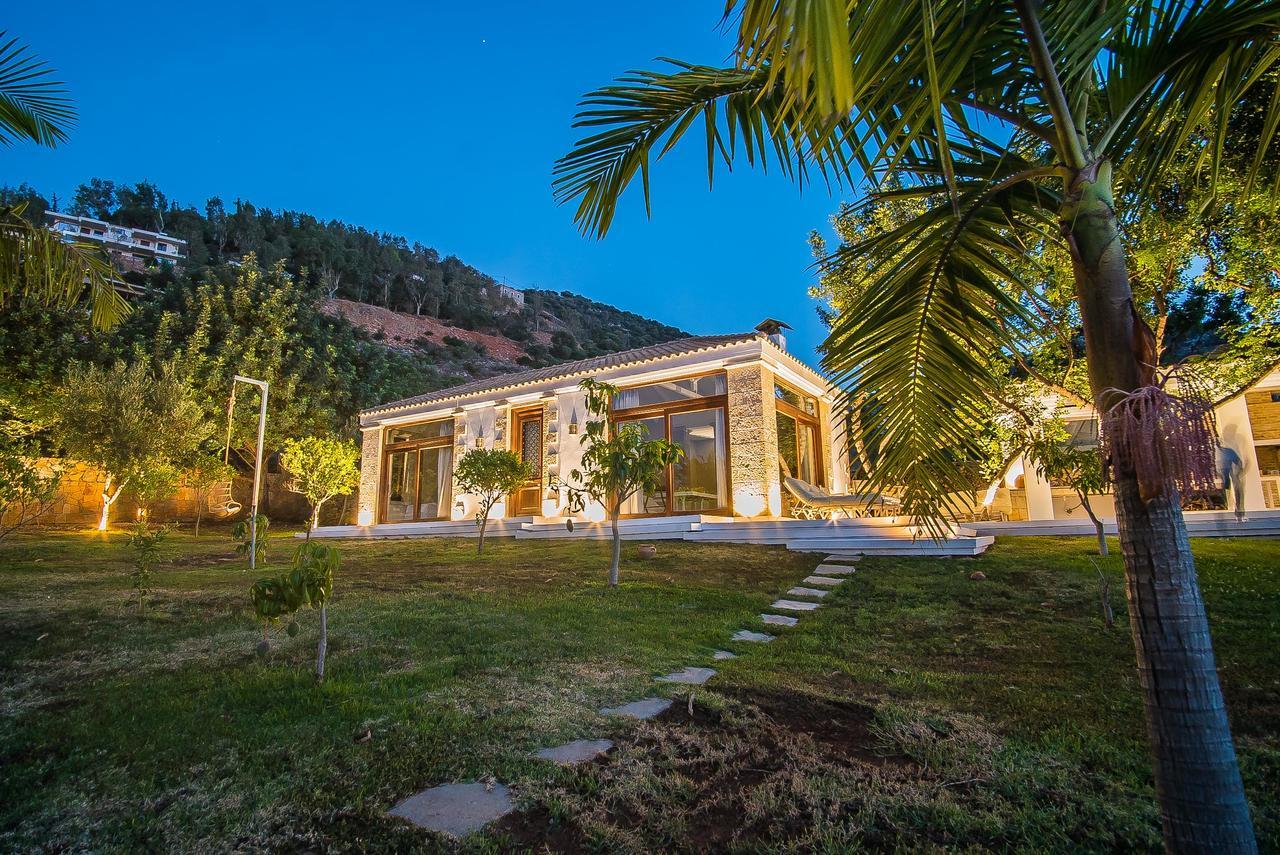 Icons Sea Of Crete Villa Малиа Екстериор снимка